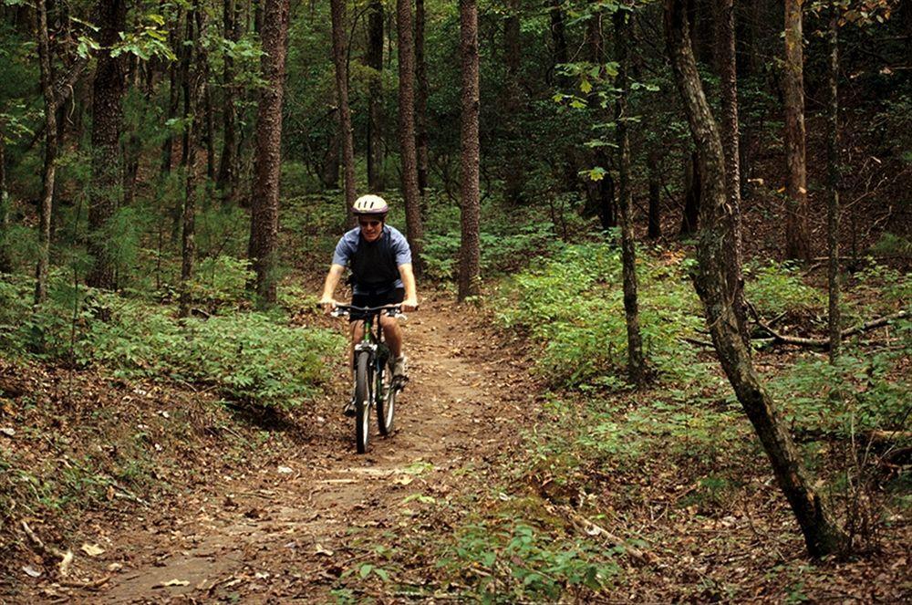 Unicoi State Park & Lodge Helen Εξωτερικό φωτογραφία